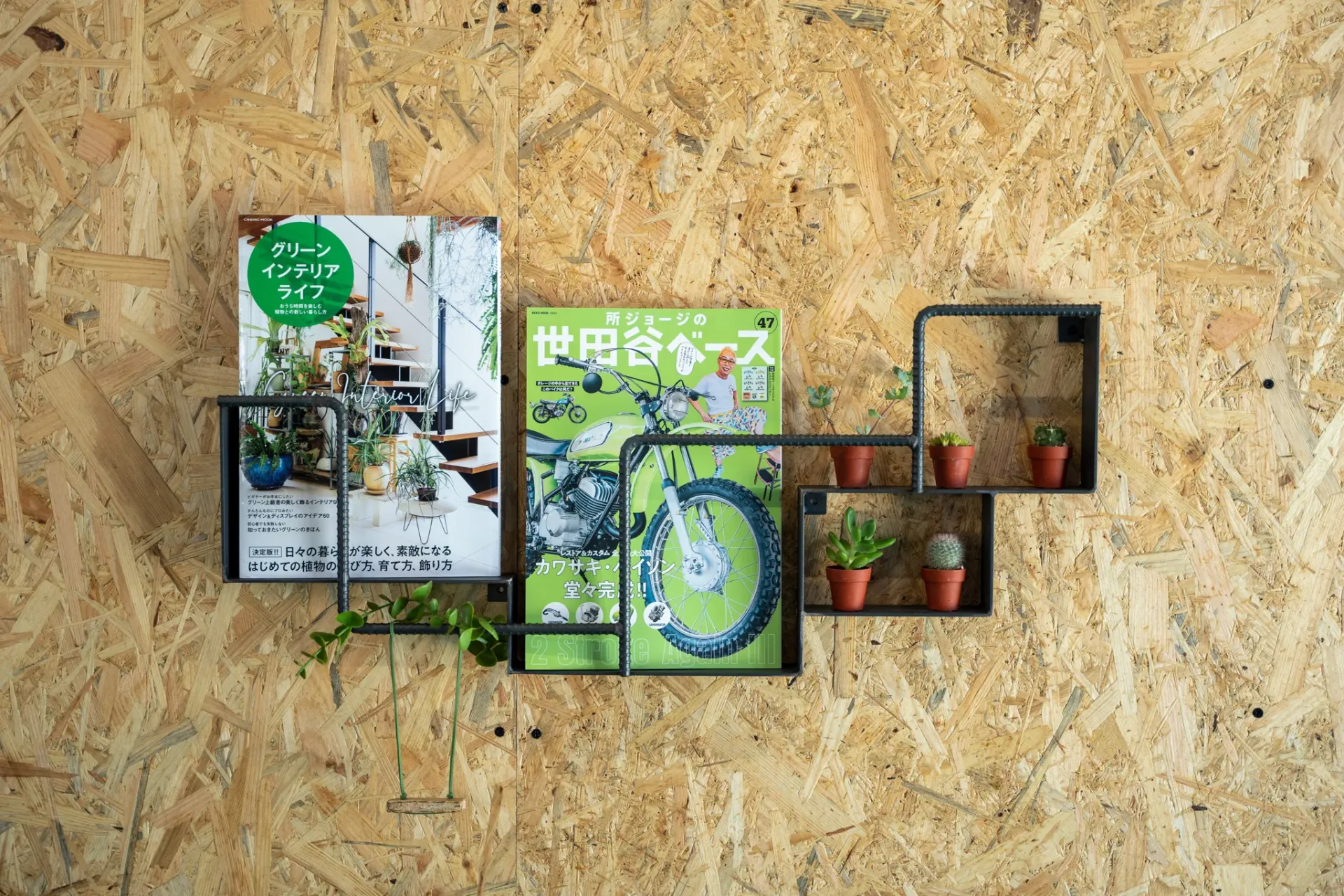 木の壁に飾った雑誌と多肉植物