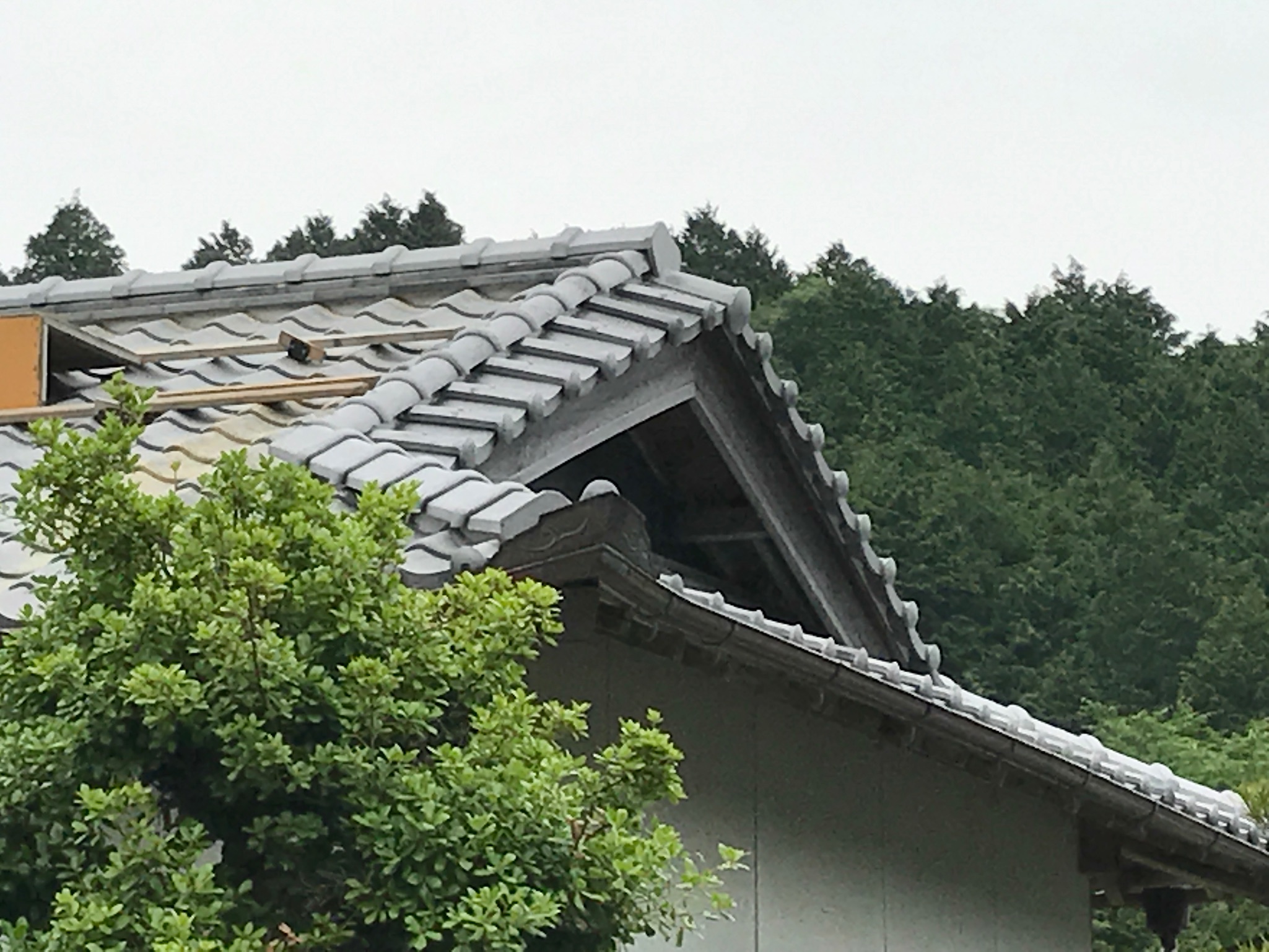 屋根の点検・診断風景