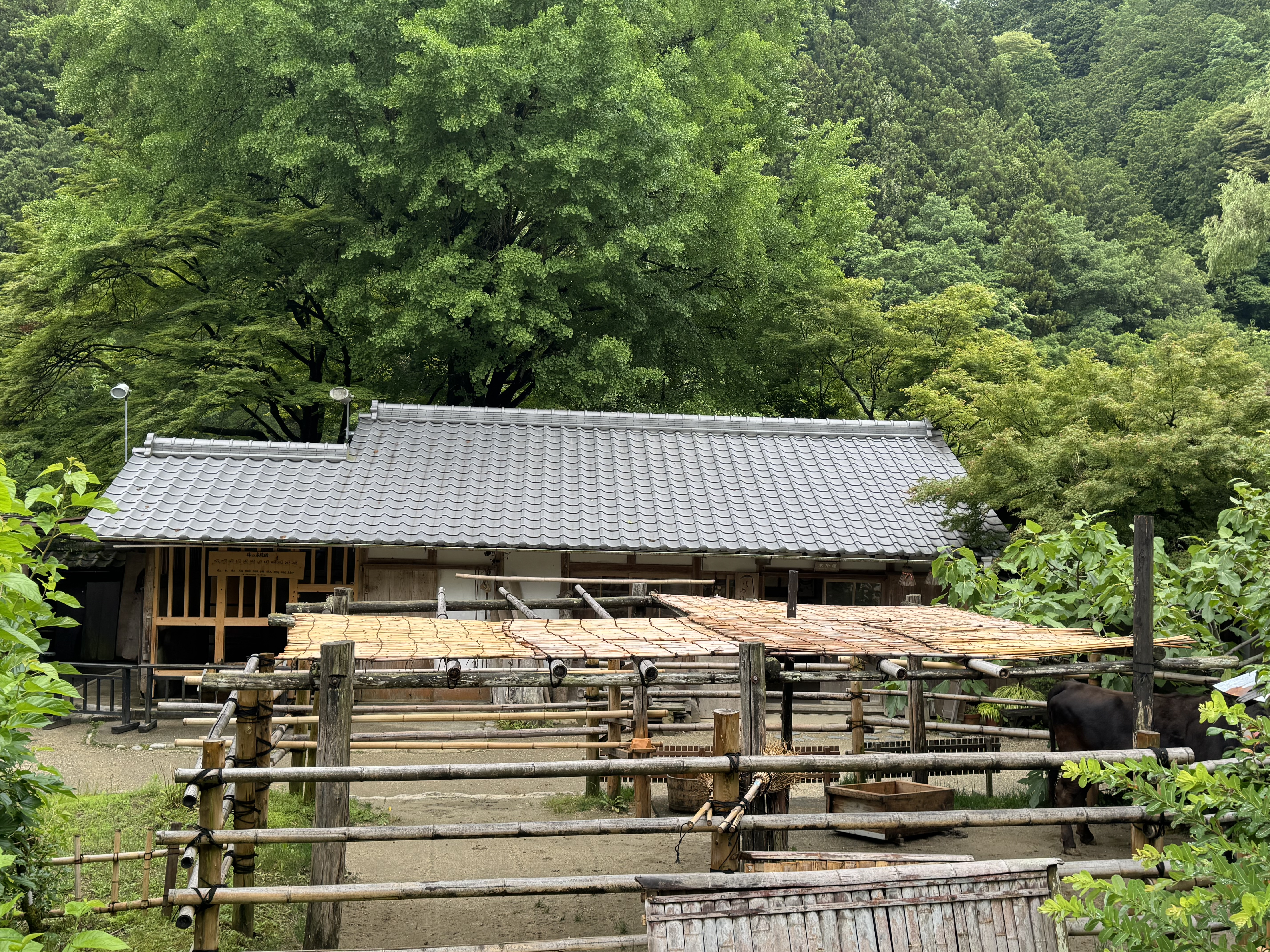 美しく仕上がった瓦屋根の風景