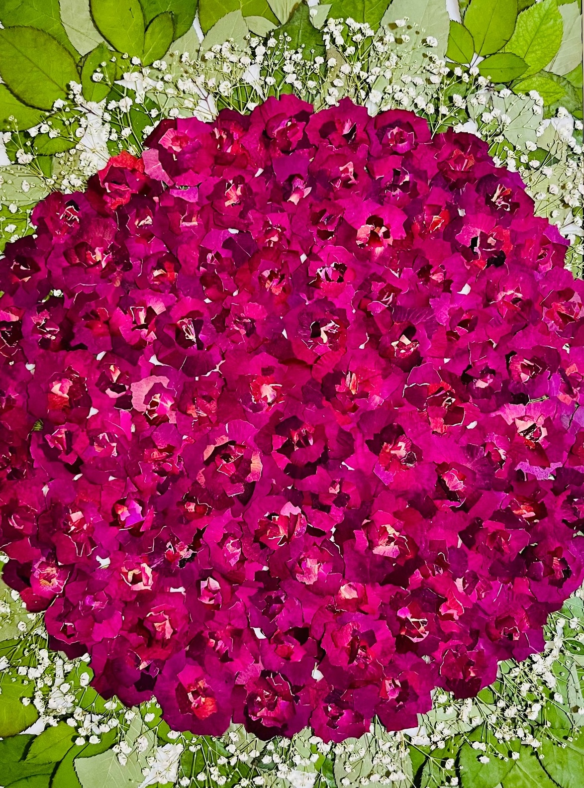 赤薔薇の押し花額。花びらの重なりと立体感が見える額装作品