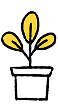 Company Icon
